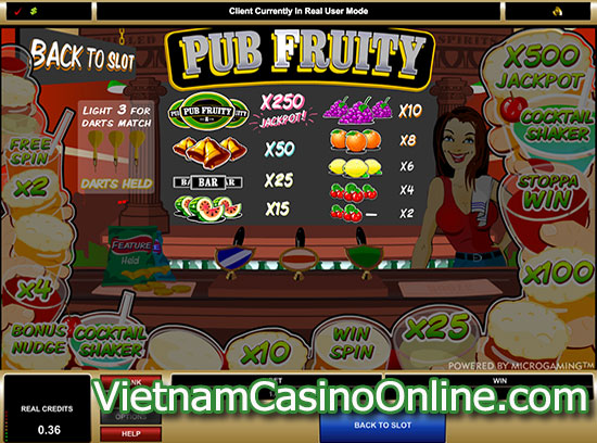 Pub Fruity Slot - Payline
